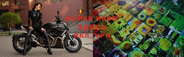 стаф Нефтекумск