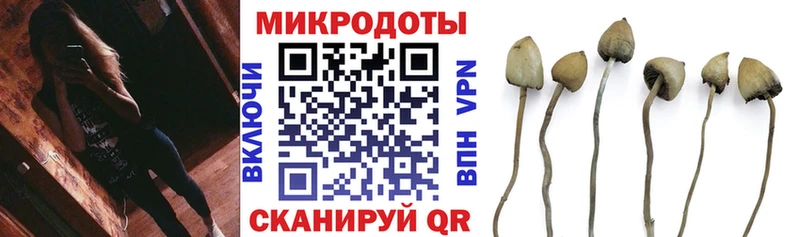 цена   Иноземцево  mega ТОР  Галлюциногенные грибы Cubensis 